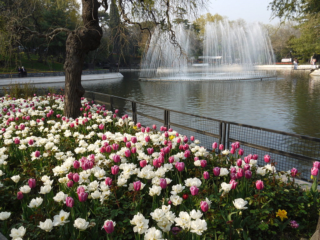 The tulip time in Istanbul